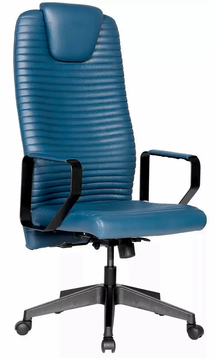 Alina Plus Müdür Koltuğu