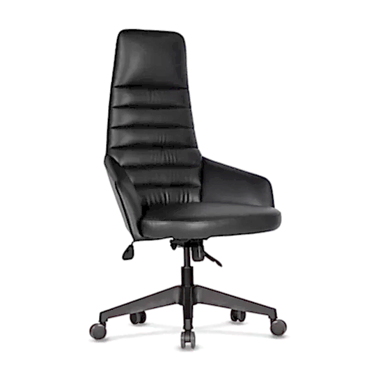 Nora Müdür Koltuğu